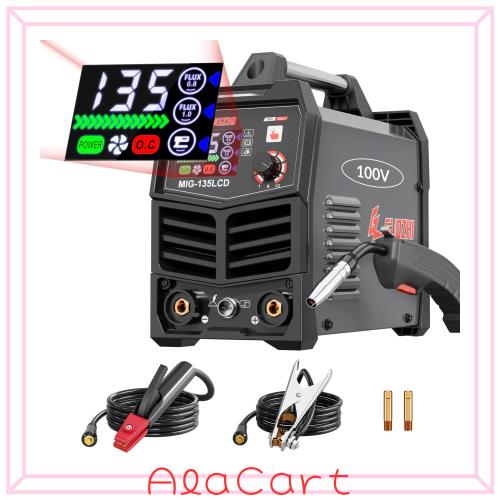 GZ GUOZHI 半自動溶接機 100v アーク溶接 ノンガスワイヤー溶接 1台2役 インバーター直流 溶接機 定格使用率60% 小型 軽量 家庭用 電気溶