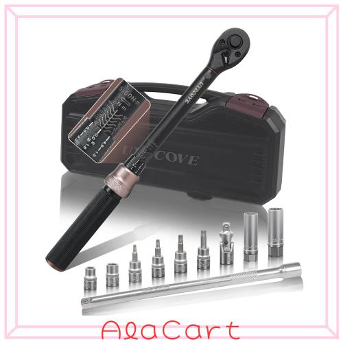 UYECOVE トルクレンチセット バイク プレセット型 差込角9.5 mm (3/8インチ) 5-60N.m 11点セット 車 エンジン オートバイの整備 高精度
