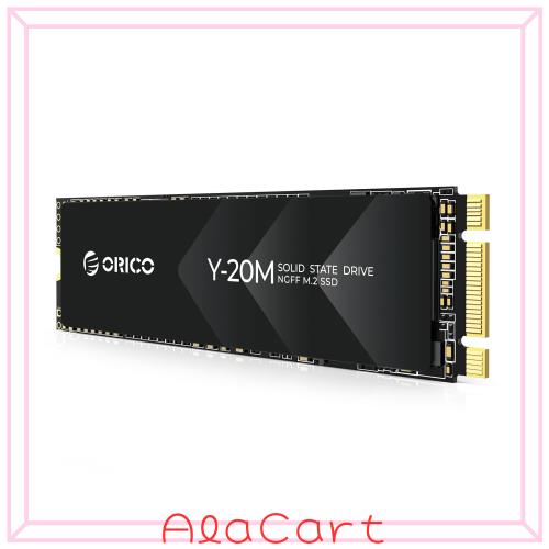 ORICO Y20M M.2 SATA SSD、512GB内蔵 M.2 NGFF 2280 SSD SATA III 6.0