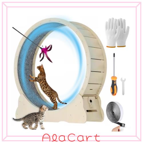MIWOOYY キャットホイール 大型猫 回し車 100cm - 屋内猫用の天然無垢材の猫ルームランナー、ロックと最小限の隙間設計を備えた安全猫 ラ