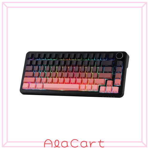 MechLands AJAZZ AK820 ホール効果ゲーミングキーボード アクチュエーション調整可能 8KHzポーリングレート