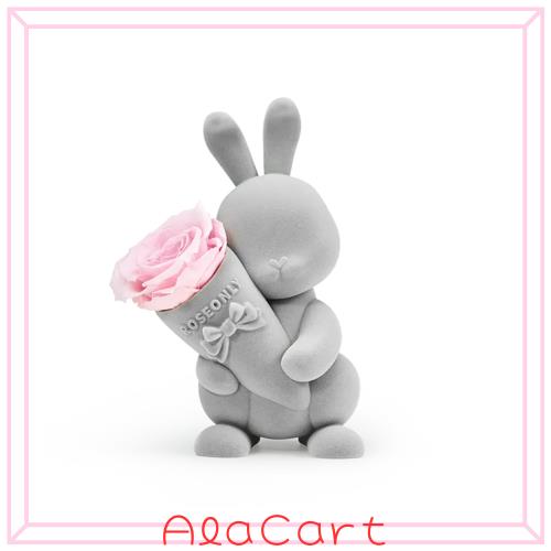 ROSEONLY プリザーブドフラワー ハニーラビットとデスティニー