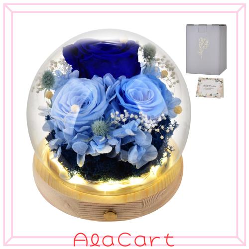 JOINVALUE プリザーブドフラワー 青いバラ 3輪 ガラスドーム LEDライト付 [結婚記念日 プロポーズ 誕生日 プレゼント 妻 彼女 記念日 還