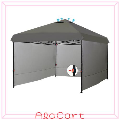 ApeexCanopy タープテント 2.5m×2.5m 【専用横幕/サイドシート3枚付属】 風抜けベンチレーション 高耐水加工＆シルバーコーティング UV
