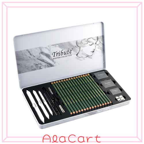 Marco 絵画セットギフトボックス (3302 特濃炭黒スケッチ鉛筆セットギフトボックス 25本, 25)