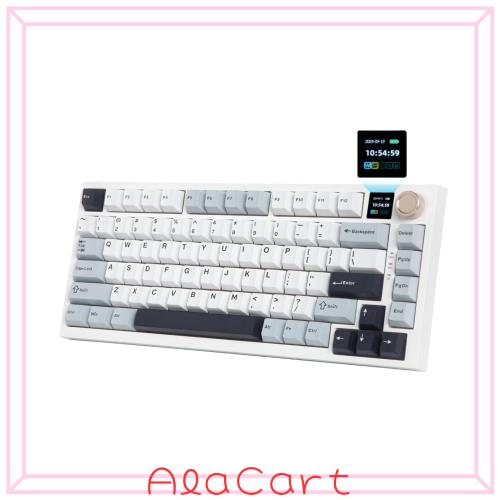 HUO JI ワイヤレス メカニカルキーボード 黄軸 テンキーレス 3モード接続 ホットスワップ対応 ゲーミングキーボード ノブ付き ディスプレ