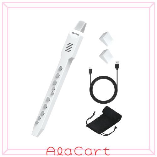 OYAYO デジタル管楽器 EWI02 Pro 携帯型 サキソフォン管楽器 10類概念の声遣い midi ＆ BT相応う 内蔵蓄電池 パウダーコンパクト 陰電子管楽器 未経験者