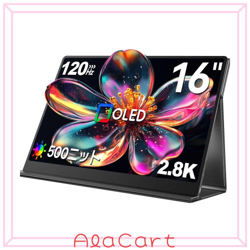 Newsoul モバイルモニター 23.8インチ 120Hz 1080p IPS Newsoul