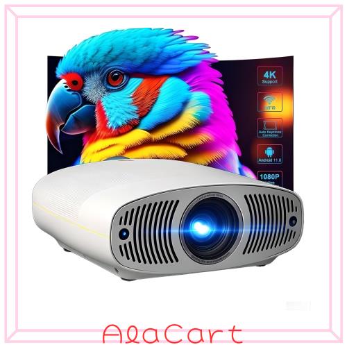中古品) SANYO フルハイビジョン デジタルムービーカメラ Xacti 