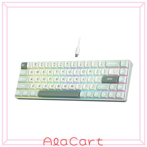 RK ROYAL KLUDGE C68 ホールエフェクト メカニカル ゲーミングキーボード 65% グレー