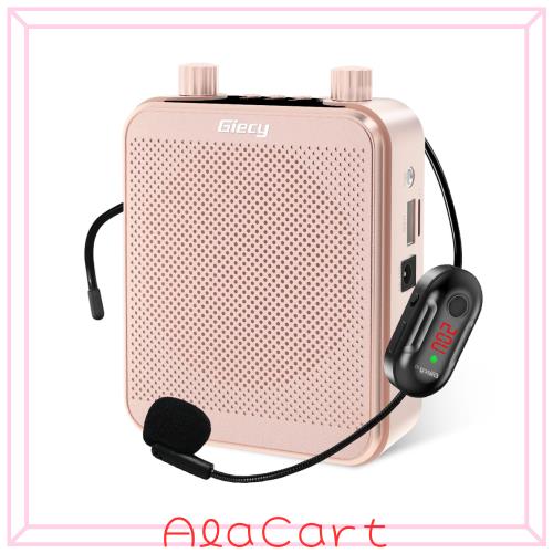 Giecy ワイヤレス拡声器 30W microSD Wifi対応 ローズゴールド