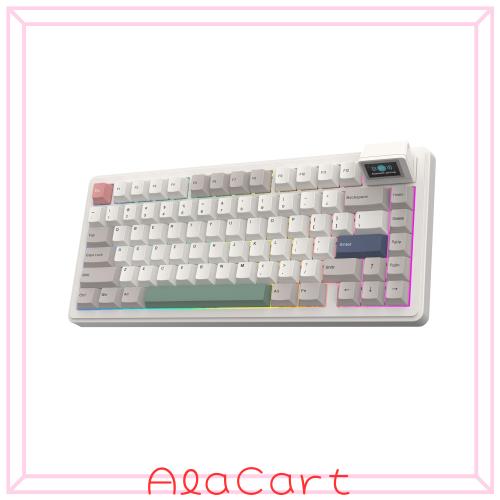 EPOMAKER RT82 ワイヤレスメカニカルキーボード 75% Sea Salt Silent