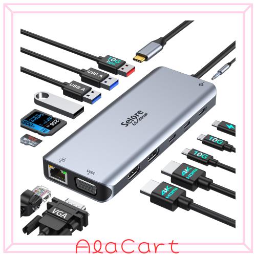 Selore USB C ドッキングステーション hdmi 2つ type-c usb ハブ【14-in-1 3画面モード 2 HDMI＋VGA 】トリプルディスプレイ対応 10Gbps