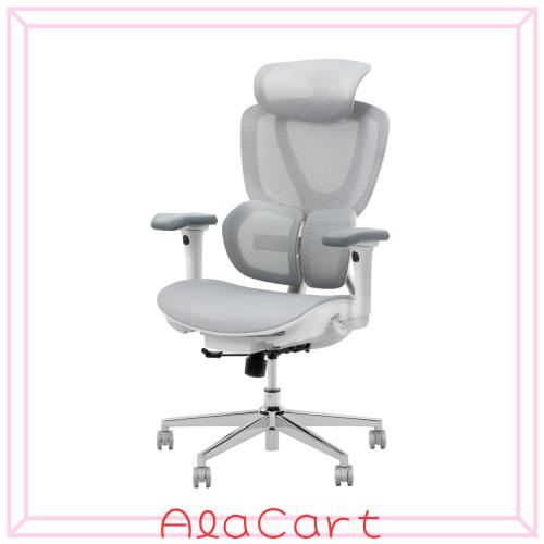 FLEXISPOT オフィスチェア デスクチェア C8 人間工学 エルゴノミクス 