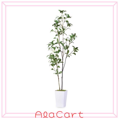 フェイクグリーン 人工観葉植物 観葉樹 造花 アセビ 馬酔木 高さ110cm 鉢植え 植木 光触媒 空気清浄 世話がない 屋内 ホーム 玄関 オフィ