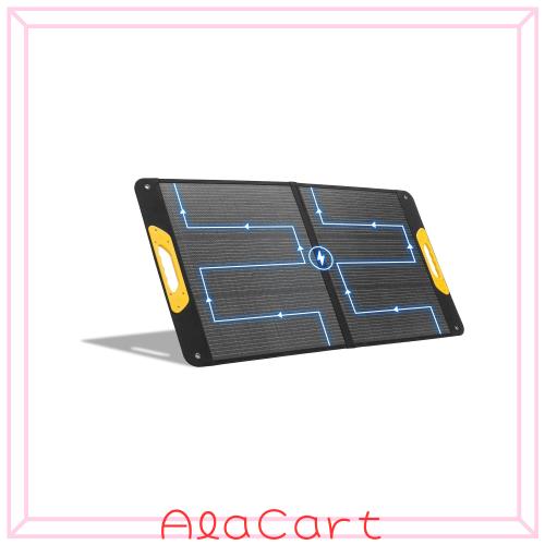 BougeRV ソーラーパネル 太陽光パネル 100W 折りたたみ 【高変換効率25%/割れにくい/IP65防水防塵】 超長 2.5m ケーブル（本体 2m＋変換
