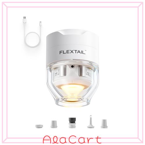 FLEXTAILGEAR TINY PUMP 3X 電動エアーポンプ 小型 携帯式 67g超軽量 5kPa高圧 300L/分高速 空気入れ・空気抜き対応 USB Type-C充電式 5