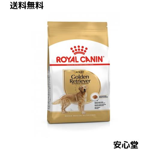 CANIN ゴールデンレトリバー 24kg みね② CANIN ゴールデンレトリバー