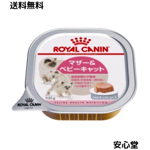 ロイヤルカナン FHN -WET ベビーキャット 猫用 100g×24個