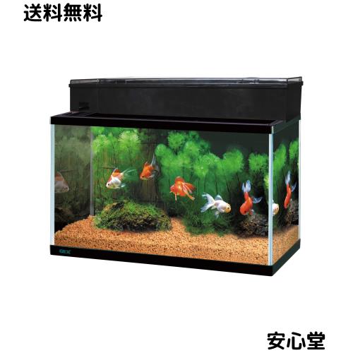 ジェックス GEX AQUARIUM ガラス マリーナ600BKS デュアルクリーンセット サカナ用