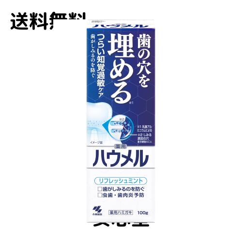 ハウメル 知覚過敏ケア ペースト 薬用ハミガキ 100g 歯の穴を埋める 小林製薬 【医薬部外品】 1個