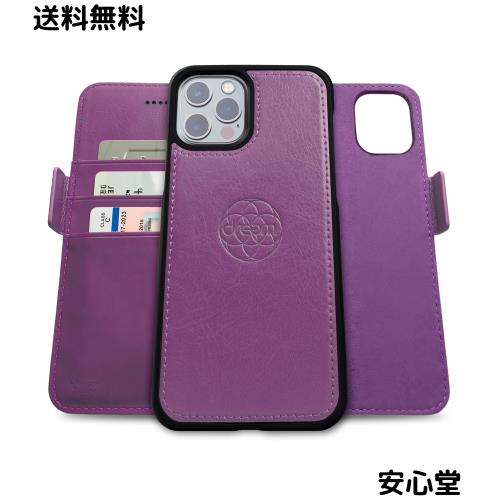 Dreem フィボナッチ（Fibonacci）2イン1 財布型ケース Apple iPhone 13 Pro Max用 - 高級ヴィーガンレザー製 マグネット着脱式 耐衝撃 携