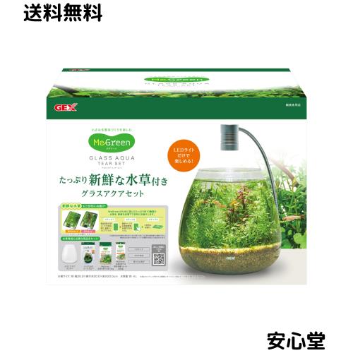 ジェックス MeGreen 新鮮な水草付き グラスアクアティアーセット たっぷりの水草(別送)が届く水槽セット LEDと砂付き 幅20×奥行20×高さ