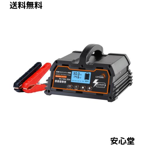 リョクエン（LVYUAN）【正規品】 全自動パルスバッテリー充電器 定格