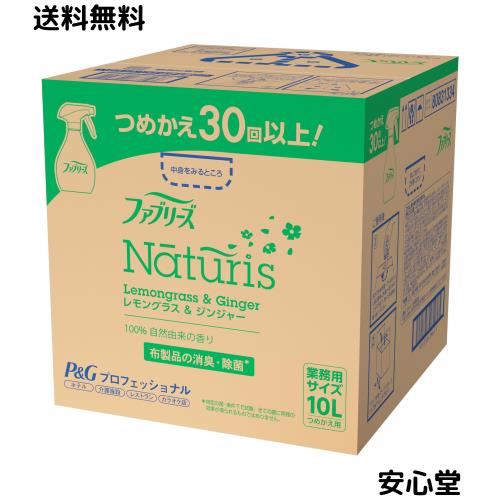 【業務用 大容量】ファブリーズ ナチュリス レモングラス＆ジンジャー 消臭スプレー 布用 詰め替え 10L P＆Gプロフェッショナル