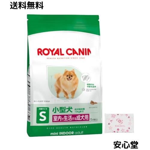 ロイヤルカナン SHN ミニ インドア アダルト 室内で生活する小型犬 4kg 成犬用 犬用 ドッグフード ドライ + SAKURANポケットティッシュ