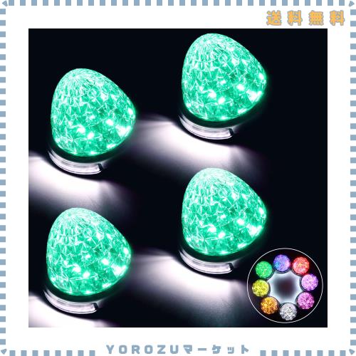 REPTICO LEDサイドマーカーランプ 24V トラック用 路肩灯 グリーン Greenクリアレンズ 8面クリスタルカット LEDマーカー ダウンライト 高
