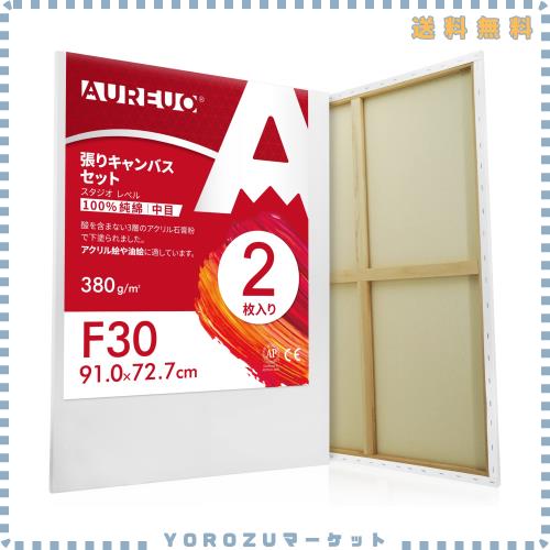 AUREUO 張りキャンバス セット F30 (91.0cmX72.7cm) 中目 100％コットン 2枚 初心者 絵画用具 芸術絵創作 現代油絵 美術装飾 水彩画・油