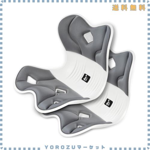 【ドイツ レッド？ドット賞受賞製品】姿勢 椅子【DEZIYUA（デズヤ) 2024特別版 2個セット腰痛 椅 子】骨盤サポートチェア 骨盤から腰をサ