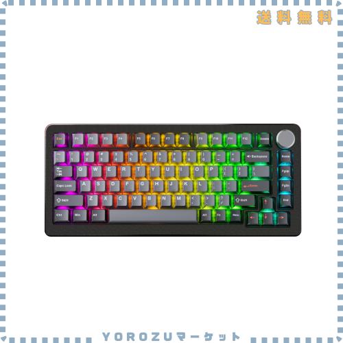 DrunkDeer A75 Pro 磁気スイッチキーボード ラピッドトリガー メカニカルゲーミングキーボード 調節可能なアクチュエーションホールスイ