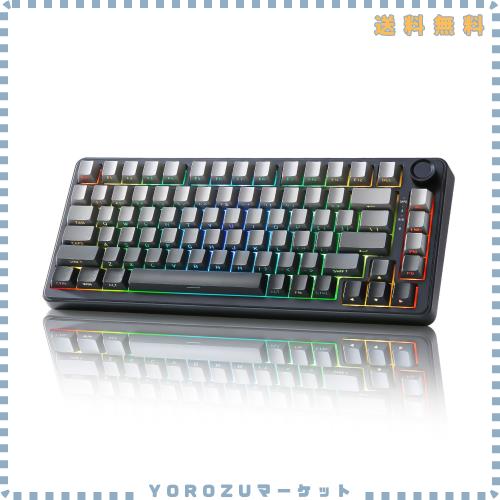 YUNZII B75 75% 有線 メカニカルキーボード ホットスワップ対応 ガスケット搭載 RGBバックライト 高耐久 英語配列 PBTキーキャップ チェ
