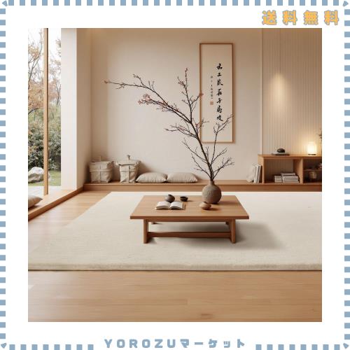 ラグマット カーペット 160x230cm 全厚約2cm 滑り止め付 洗えるラグ 抗菌 ふわっと手触り 防音絨毯 オールシーズ おしゃれな北欧風シャギ