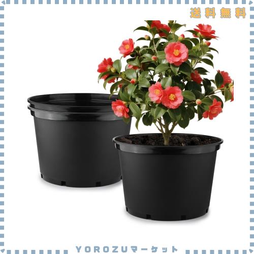 大型 プランター 43cm 3点セット プラスチック 植木鉢 側面排水穴付き 厚み2mm 植え替え簡単 | 観葉植物 野菜 果樹 花き栽培 家庭菜園 園
