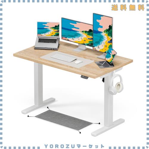 Acrolix 電動昇降デスク 昇降式テーブ スタンディングデスク 幅 120cm 耐荷重 80kg デスク下隠し収納 高さメモリー機能 静音 上下自動昇