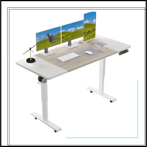 Radlove パソコンデスク 電動昇降式 デスク 電動式 パソコンデスク ゲーミングデスク 机 電動昇降式スタンディングデスク PCデスク つく