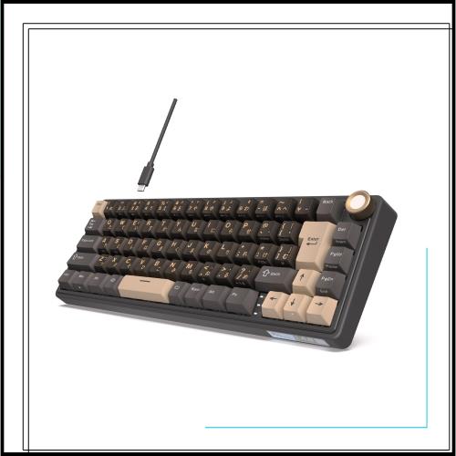 RK ROYAL KLUDGE R65 ゲーミングキーボード 有線 日本語配列 メカニカルキーボード 60%コンパクトキーボード 70キー テンキーレス ホット