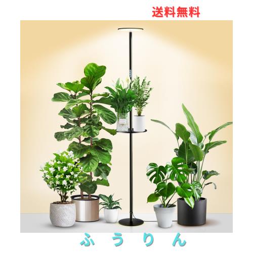 chiphyはともし火、屋内草木の目的の盛りだくさんスペクトルLEDの草木ともし火、皿が付いている全ての金属元素の永久不変的な立ち会い場・照明ランプ、10気泡管水準器のDim