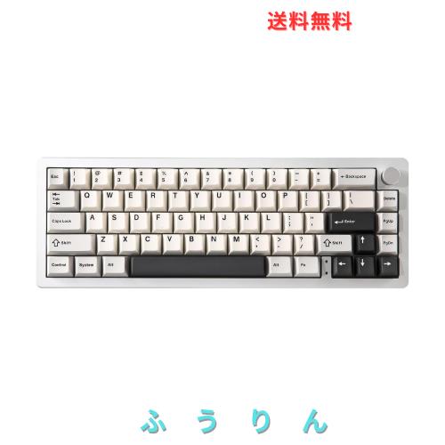 YUNZII AL66 ゲーミングキーボード ワイヤレス メカニカル アルミ製 65％ ノブ付き Bluetooth/2.4G/有線 ホットスワップ対応 ガスケット