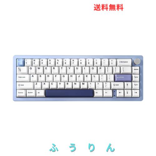 YUNZII AL66 ゲーミングキーボード ワイヤレス メカニカル アルミ製 65％ ノブ付き Bluetooth/2.4G/有線 ホットスワップ対応 ガスケット