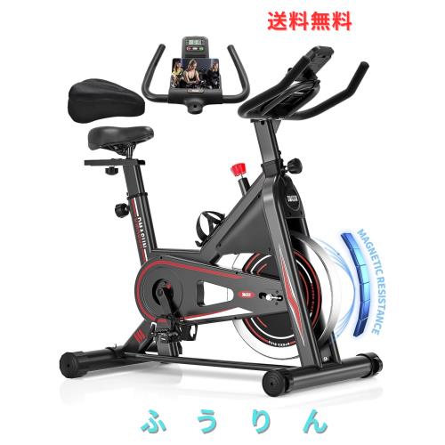 DMASUN エアロバイク 家庭用 静音スピンバイク フィットネスバイク
