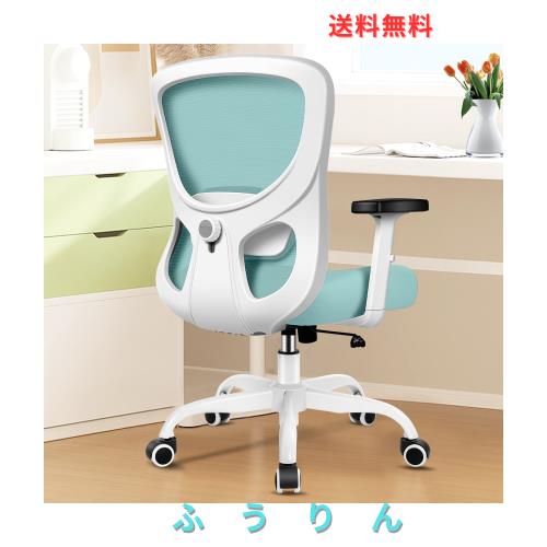 Razzor デスクチェア 人間工学 オフィスチェア 疲れない 勉強椅子 調節できるランバーサポート 腰に良い 360°回転 耐荷重優秀 家庭用 事