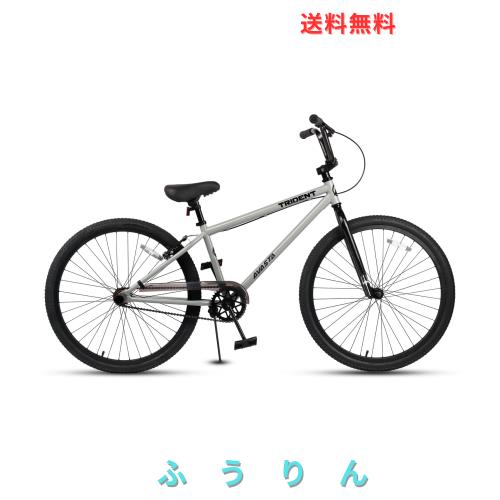 【AVASTA】TRIDENT レースBMX自転車 BMX RACINGレーシング初心者向き練習用BMX ジュニアサイズ 街乗り自転車 ファットタイヤ 取り外し可