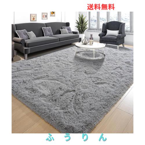 カーペット SpyFlyLie ラグマット【中層:30D高密度ウレタン 厚さ約1.2cm と低反発 厚手加工】洗えるラグ 抗菌 ふわっと手触り優しいフラ