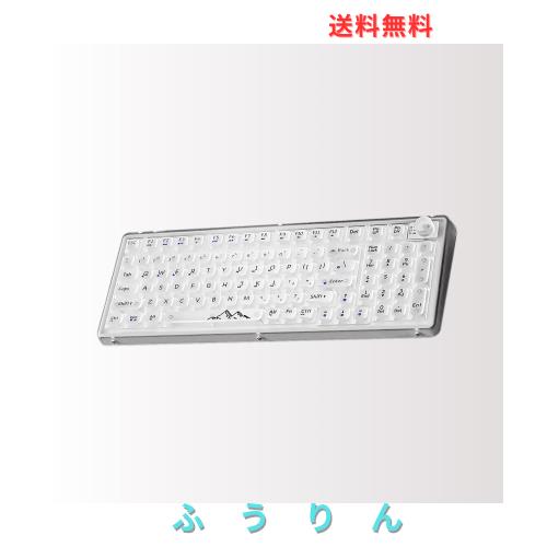 OUSEITECH X EWEADN V99 ゲーミングキーボード メカニカル 透明