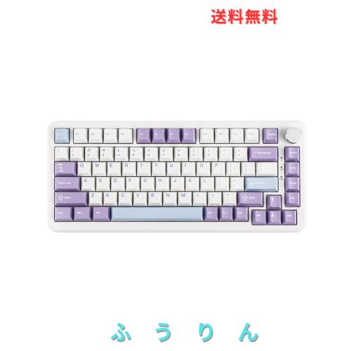MechLands AJAZZ AK820 MAX HE ホール効果ゲーミングキーボード アクチュエーション調整可能 8KHzポーリングレート 有線ラピッド磁気キー