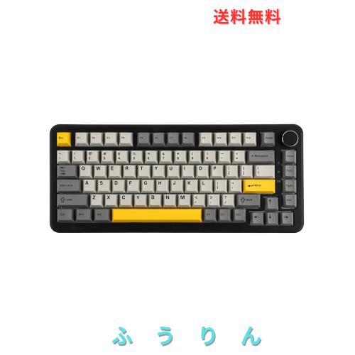 MechLands AJAZZ AK820 MAX HE ホール効果ゲーミングキーボード アクチュエーション調整可能 8KHzポーリングレート 有線ラピッド磁気キー